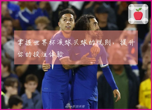 掌握世界杯滚球买球的规则，提升你的投注体验