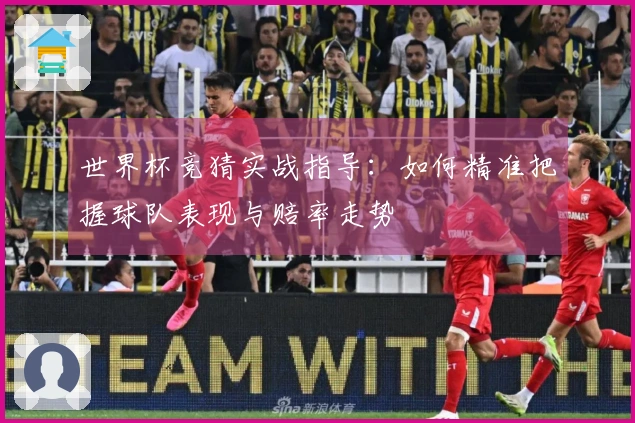 世界杯竞猜实战指导：如何精准把握球队表现与赔率走势