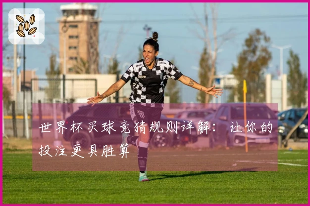 世界杯买球竞猜规则详解：让你的投注更具胜算