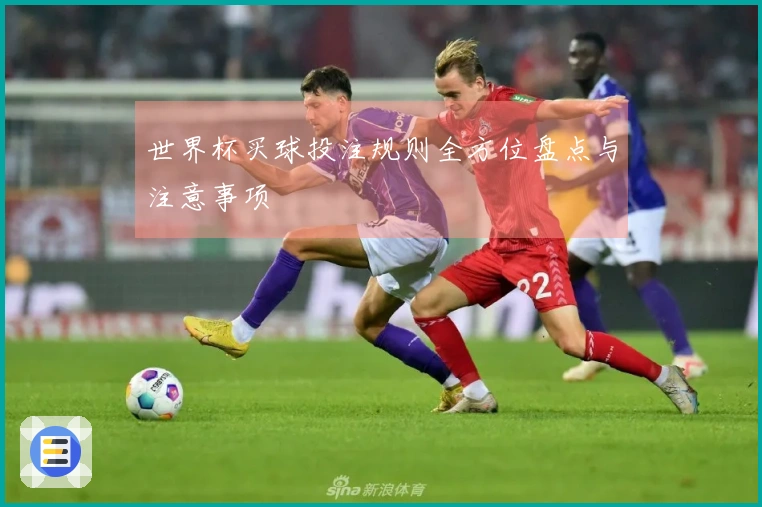 世界杯买球投注规则全方位盘点与注意事项