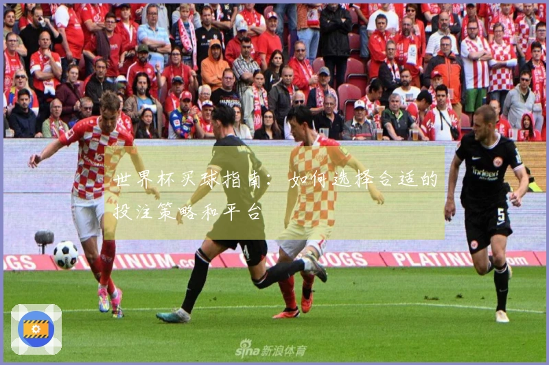 世界杯买球指南：如何选择合适的投注策略和平台