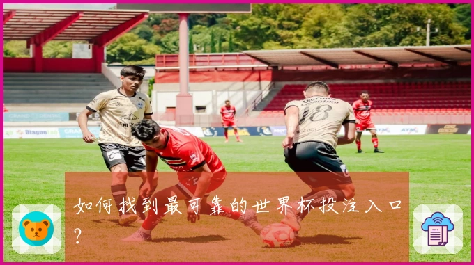 如何找到最可靠的世界杯投注入口？
