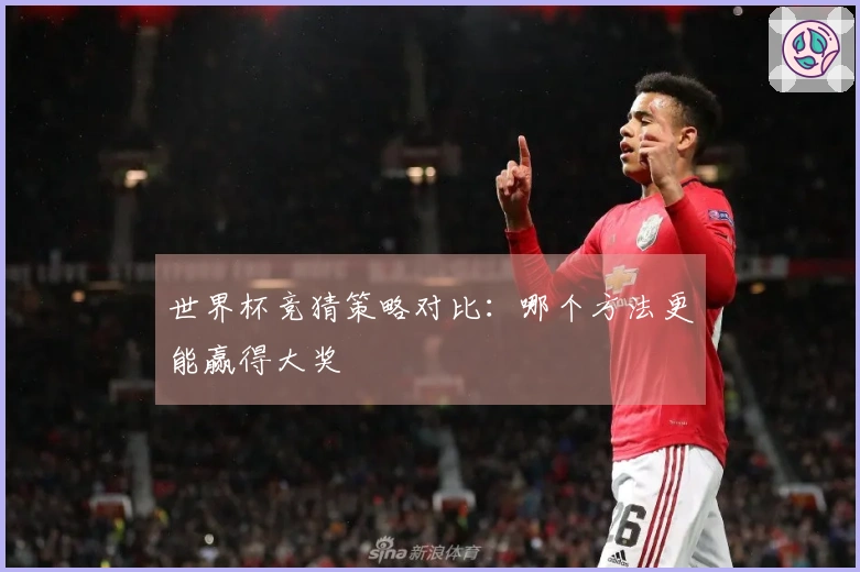 世界杯竞猜策略对比：哪个方法更能赢得大奖