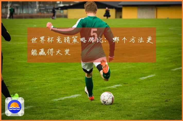世界杯竞猜策略对比：哪个方法更能赢得大奖