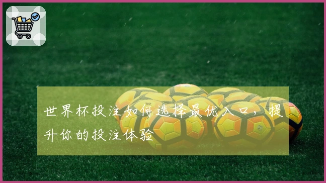 世界杯投注如何选择最优入口，提升你的投注体验