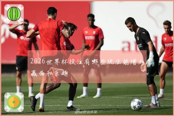 2026世界杯投注有哪些玩法能增加赢面和乐趣