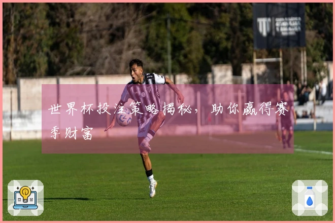 世界杯投注策略揭秘，助你赢得赛季财富