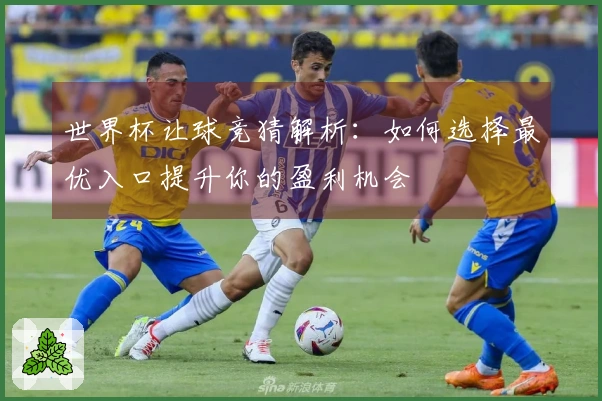 世界杯让球竞猜解析：如何选择最优入口提升你的盈利机会