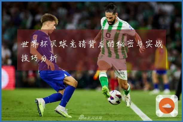 世界杯买球竞猜背后的秘密与实战技巧分析