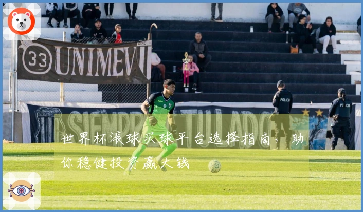 世界杯滚球买球平台选择指南，助你稳健投资赢大钱