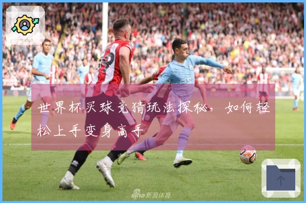 世界杯买球竞猜玩法探秘，如何轻松上手变身高手